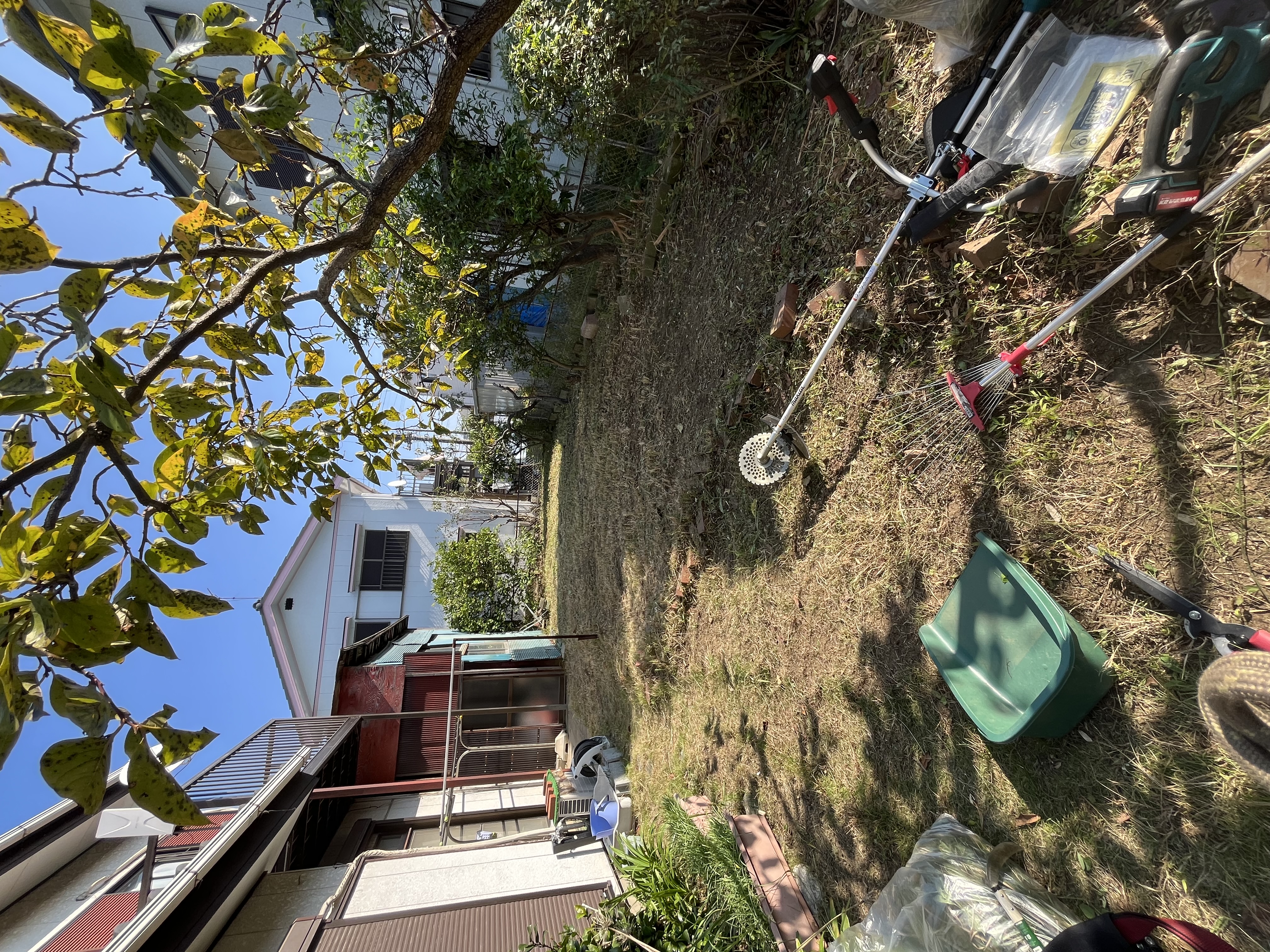 年末特別プランのご紹介
